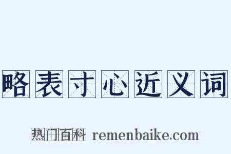 略表寸心近义词是什么意思的图片